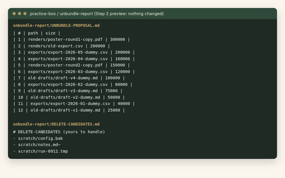 Screenshot of real Unbundle report files from a test run on a practice folder: a numbered preview list of twelve dummy files, largest first, and three scratch files listed for you to handle.